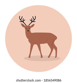 Deer vector, christmas animal concept 