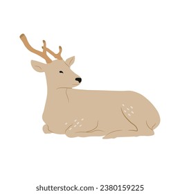 Deer, vector de ilustración plana aislada. El concepto de fauna silvestre, animal, forestal.