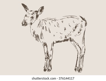 deer vector, hand draw sketch 