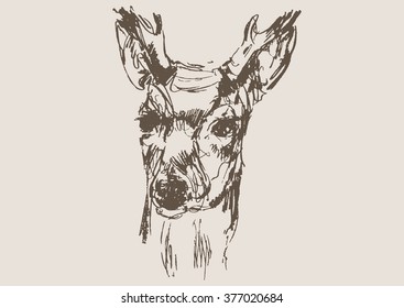 deer vector, hand draw sketch 