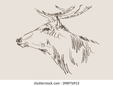 deer vector, hand draw sketch