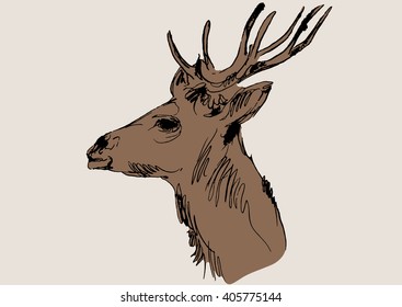 deer vector, hand draw sketch 