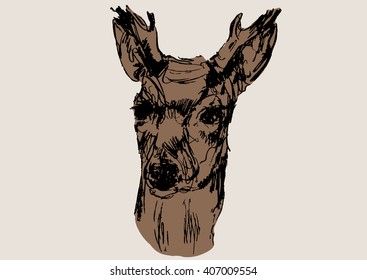 deer vector, hand draw sketch 