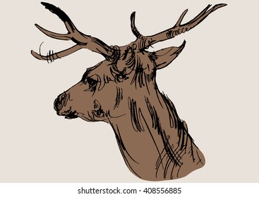 deer vector, hand draw sketch 