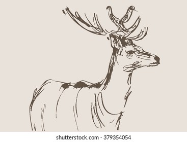 deer vector, hand drawn sketch 