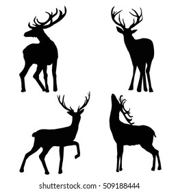 deer - vector,  illustration