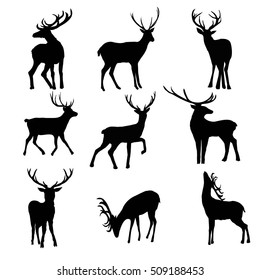 deer - vector,  illustration