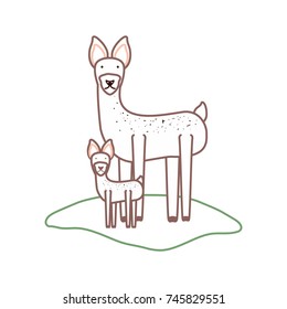deer vector illustration
