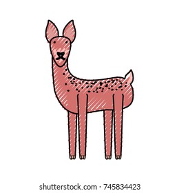 deer vector illustration