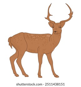 ilustração vetorial de veado, animal em estilo plano e cor grunge marrom. Animais selvagens, criaturas selvagens, conceito de vida selvagem. Design vetorial de cervo malhado ou chital isolado em fundo branco