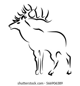 Deer. Vector illustration of a Christmas deer isolated on white background. 