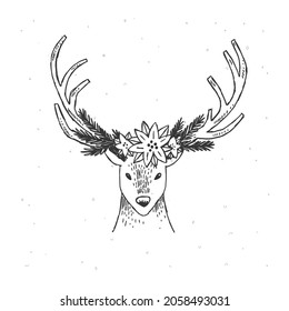 Ilustración vectorial de ciervos. Cerveza selvática dibujada a mano con cuernos decorados. Clíparte de renos de Navidad