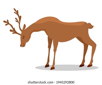 Deer vector illustration isolated on white background