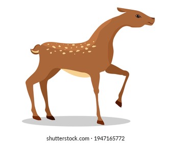 Ilustración vectorial de ciervos aislada en fondo blanco.