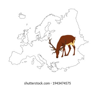 Deer vector illustration on Europe map silhouette isolated on white background. Reindeer powerful buck with huge antlers. Red deer grazing grass on European territory. 