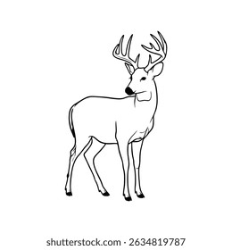 deer vector illustration on white background