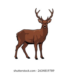 deer vector illustration on white background