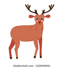 Deer vector illustration. Reindeer cute woodland animal isolated object. 