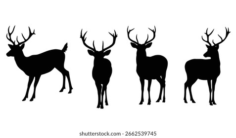 Hirsch-Vektorgrafik-Set, Schwarz-Weiß-Silhouetten. Sammlung von verschiedenen Hirsch Posen, Satz von Silhouetten von Rentieren. männliches und weibliches Reh einzeln auf weißem Hintergrund.eps 10	