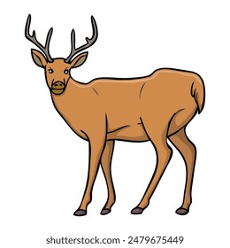 deer vector illustration,isolated on white background,top view