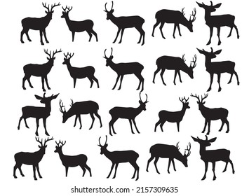 Deer Vector Image. Deer Vector Art and Graphic. Deer Vector designs .Deer Vector Stock Illustrations