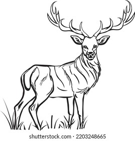 Deer vector on white background