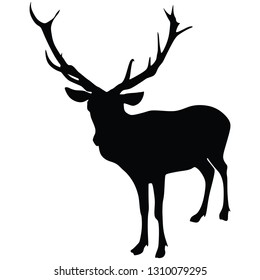 Deer vector silhouette illustration, isolated on white background.- Vector