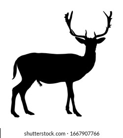 Deer vector silhouette illustration isolated on white background. Reindeer, proud Noble Deer male in forest or zoo. Powerful buck with huge neck and antlers standing. Sika deer.