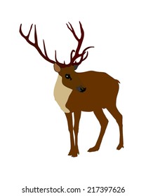 Deer vector silhouette illustration, isolated on white background.
