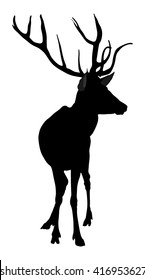 Deer vector silhouette illustration, isolated on white background. Hunting trophies at gunpoint, like a target. Buck, large animal. Forest mammal.