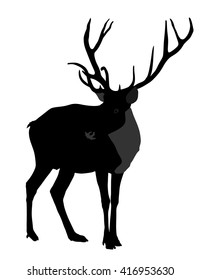 Deer vector silhouette illustration, isolated on white background.