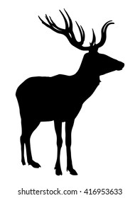 Deer vector silhouette illustration, isolated on white background.