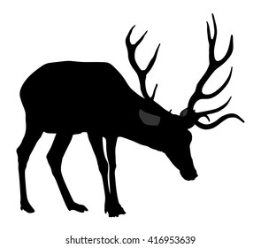 Deer vector silhouette illustration, isolated on white background.