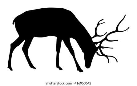 Deer vector silhouette illustration, isolated on white background.