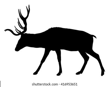 Deer vector silhouette illustration, isolated on white background.