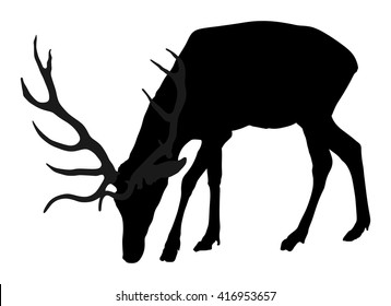 Deer vector silhouette illustration, isolated on white background.