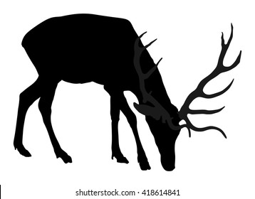 Deer vector silhouette illustration, isolated on white background. deer grazing grass. Hunting trophies at gunpoint, like a target. Hunter target.