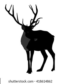 Deer vector silhouette illustration, isolated on white background. Hunting trophies at gunpoint, like a target.