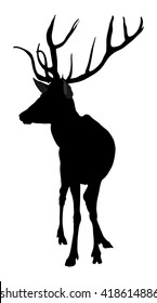 Deer vector silhouette illustration, isolated on white background. Hunting trophies at gunpoint, like a target. Buck, large animal. Forest mammal.