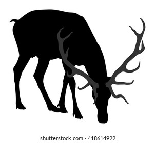 Deer vector silhouette illustration, isolated on white background. Hunting trophies at gunpoint, like a target.