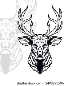 deer vector. stag vector. stag deer head sketch vector. (in packaging design, decoration, print, t-shirt design, tattoo art, etc.)