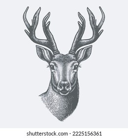 Deer Vector Tshirt Design Logo Icon Greeting Card Illustration