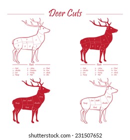 Cuts Of Elk Chart