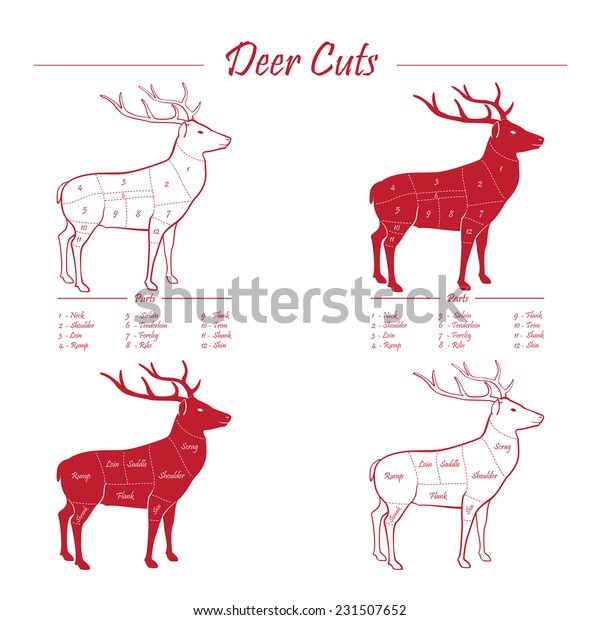 Deer Venison Meat Cut Diagram Scheme Stock Vector (Royalty ...