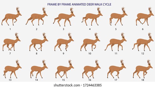 Deer Walk-cycle  Vector Illustration, Frame by Frame Animation for 2D Animation, Motion Graphics, Info Graphics