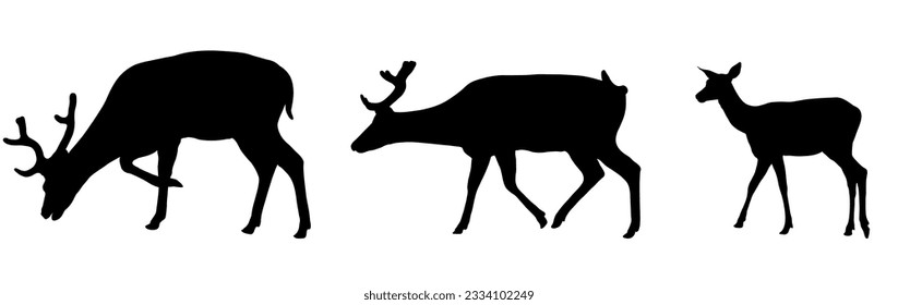 Deer, walking forest animals, silhouette. Vector illustration