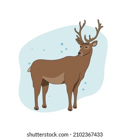 A deer watches for falling snowflakes. Vector image of a deer against the background of winter nature. New Year's deer. Siberian deer.