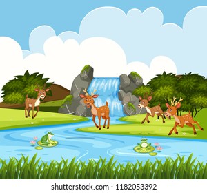 Deer in waterfall scene illustration