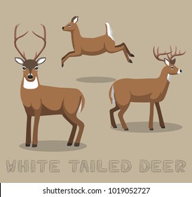 Deer White-tailed Cartoon Vector Illustration