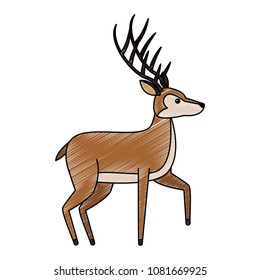Deer wild animal scribble